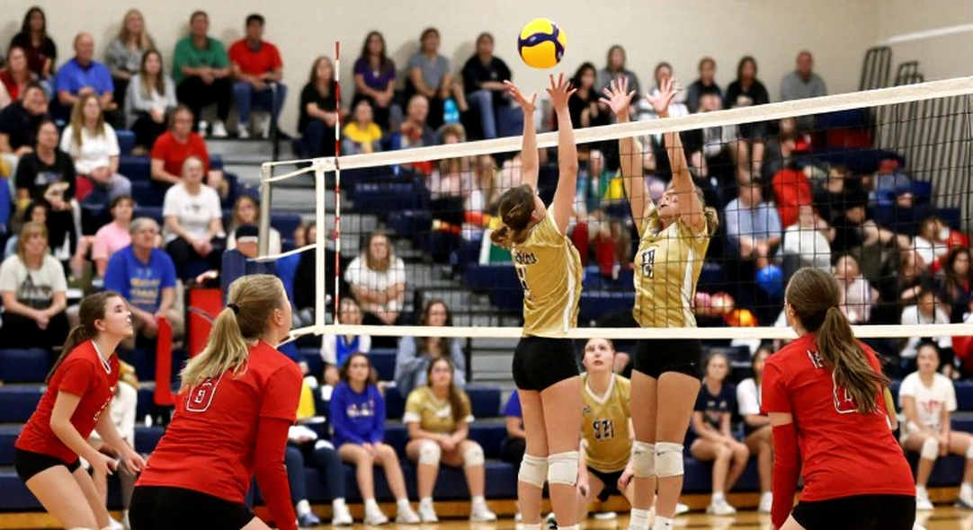 Empty Cells in a Volleyball Analysis Sheet and the Value of Saying 'Insufficient Data' Empty Cells in a Volleyball Analysis Sheet and the Value of Saying 'Insufficient Data'