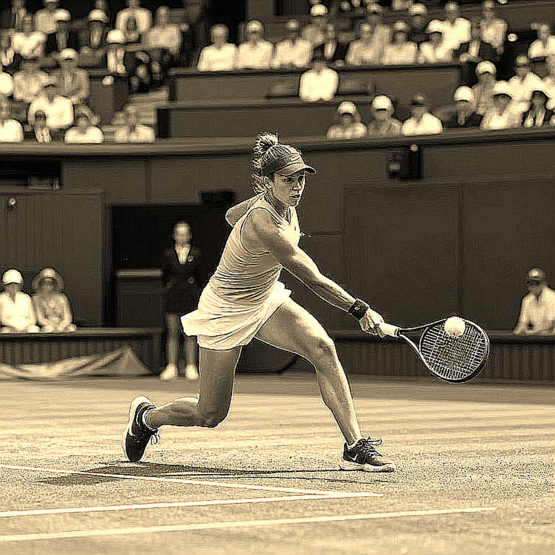 Tennis và cái bẫy dữ liệu rỗng: Ranh giới giữa phân tích và bịa đặt