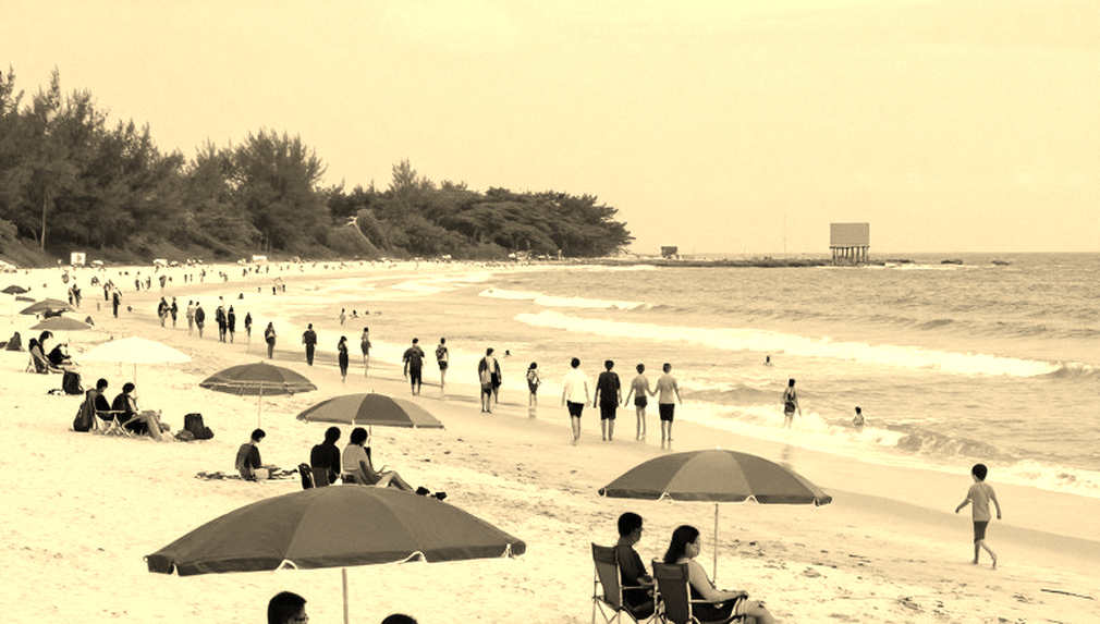 MLBB and the Southeast Asian Cultural Bridge: A Decade of Data That Doesn't Lie