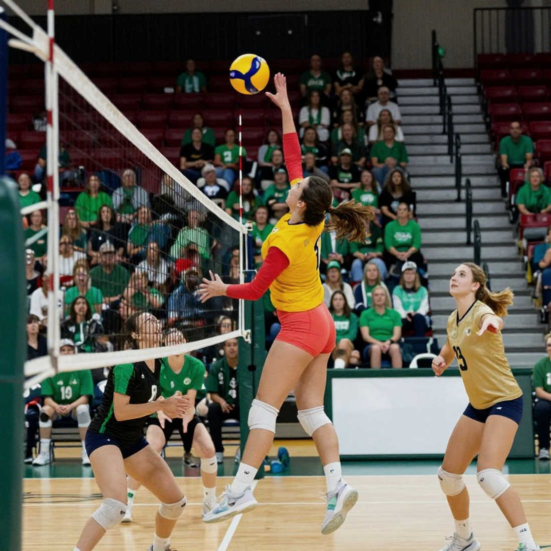 Bóng chuyền nữ Việt Nam tại ASIAD 2026: Điểm 24-23 và vết nứt ở đường chuyền một Bóng chuyền nữ Việt Nam tại ASIAD 2026: Điểm 24-23 và vết nứt ở đường chuyền một