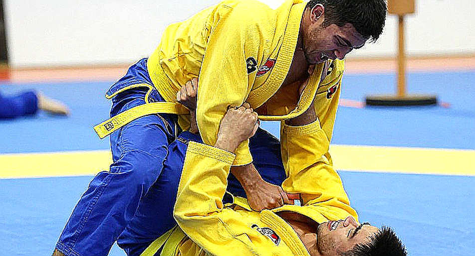 Japanese Martial Arts and the Data Gap Between Scorecards and the Ring Japanese Martial Arts and the Data Gap Between Scorecards and the Ring